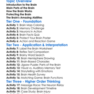 The Human Brain Worksheet Activity Booklet