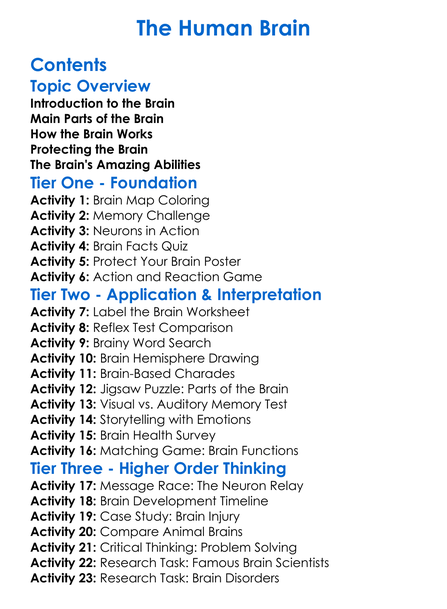 The Human Brain Worksheet Activity Booklet