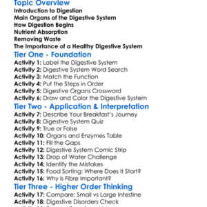 The Human Digestive System Worksheet Activity Booklet