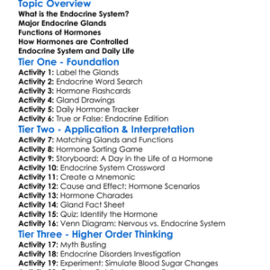 The Human Endocrine System Worksheet Activity Booklet