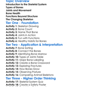 The Human Skeletal System Worksheet Activity Booklet