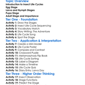 The Life Cycle Of Insects Worksheet Activity Booklet