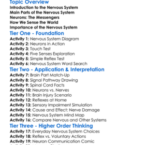 The Nervous System Worksheet Activity Booklet