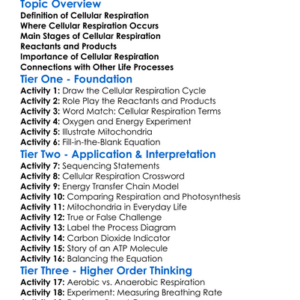 The Process Of Cellular Respiration Worksheet Activity Booklet