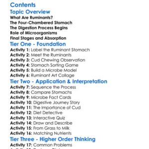 The Process Of Digestion In Ruminants Worksheet Activity Booklet