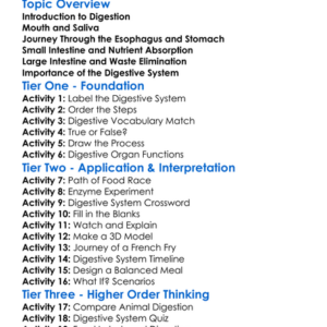 The Process Of Digestion Worksheet Activity Booklet