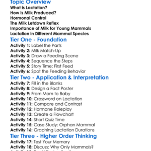 The Process Of Lactation In Mammals Worksheet Activity Booklet