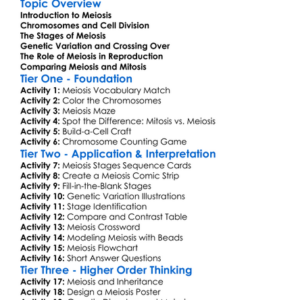 The Process Of Meiosis Worksheet Activity Booklet