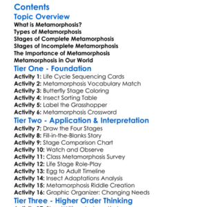 The Process Of Metamorphosis In Insects Worksheet Activity Booklet