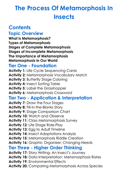 The Process Of Metamorphosis In Insects Worksheet Activity Booklet