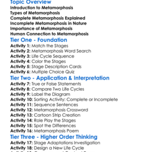 The Process Of Metamorphosis Worksheet Activity Booklet
