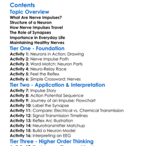 The Process Of Nerve Impulse Transmission Worksheet Activity Booklet