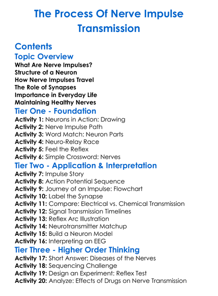 The Process Of Nerve Impulse Transmission Worksheet Activity Booklet
