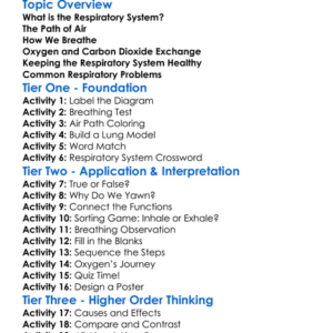 The Respiratory System Worksheet Activity Booklet