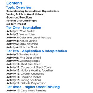 The Rise Of International Organizations Worksheet Activity Booklet