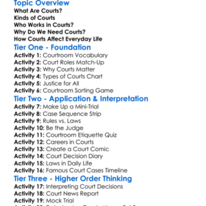 The Role Of Courts Worksheet Activity Booklet