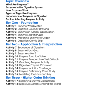 The Role Of Enzymes In Digestion Worksheet Activity Booklet