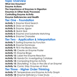 The Role Of Enzymes In The Body Worksheet Activity Booklet