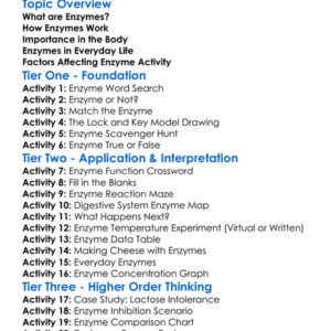 The Role Of Enzymes Worksheet Activity Booklet