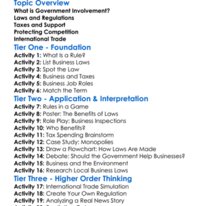 The Role Of Government In Business Worksheet Activity Booklet