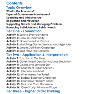 The Role Of Government In The Economy Worksheet Activity Booklet