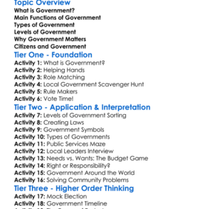 The Role Of Government Worksheet Activity Booklet