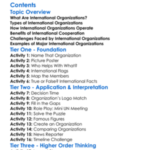 The Role Of International Organizations Worksheet Activity Booklet