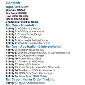 The Role Of Ngos In The Modern World Worksheet Activity Booklet