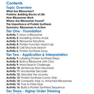 The Role Of Ribosomes In Protein Synthesis Worksheet Activity Booklet