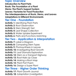 The Role Of Roots Stems And Leaves Worksheet Activity Booklet