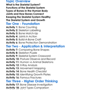 The Skeletal System In Humans Worksheet Activity Booklet