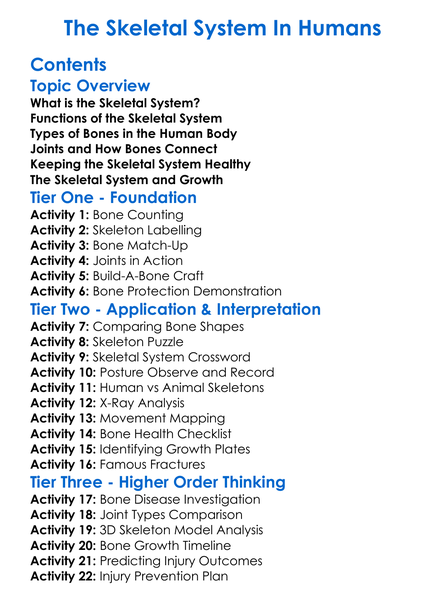 The Skeletal System In Humans Worksheet Activity Booklet