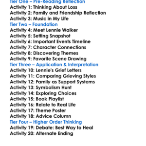 The Sky Is Everywhere Jandy Nelson Worksheet Activity Booklet