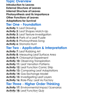 The Structure And Function Of Leaves Worksheet Activity Booklet