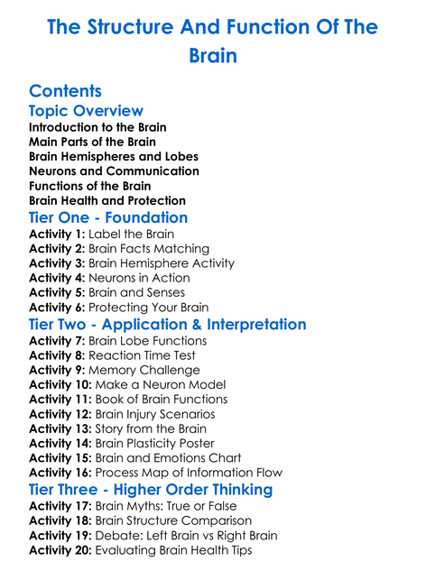 The Structure And Function Of The Brain Worksheet Activity Booklet
