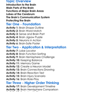 The Structure Of The Human Brain Worksheet Activity Booklet