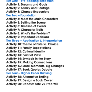 The Sun Is Also A Star Nicola Yoon Worksheet Activity Booklet