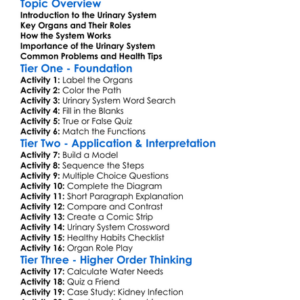 The Urinary System Worksheet Activity Booklet
