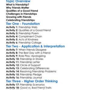 The Value Of Friendship Worksheet Activity Booklet