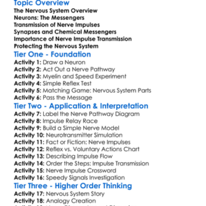 Transmission Of Nerve Impulses Worksheet Activity Booklet