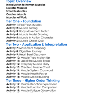 Types Of Muscles In Humans Worksheet Activity Booklet