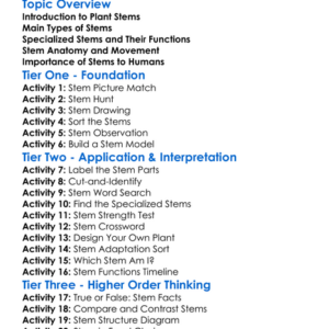 Types Of Plant Stems Worksheet Activity Booklet