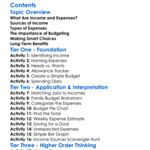 Understanding Income And Expenses Worksheet Activity Booklet