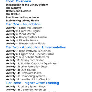 Urinary System Anatomy Worksheet Activity Booklet