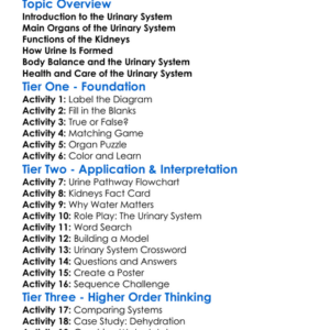 Urinary System Function Worksheet Activity Booklet