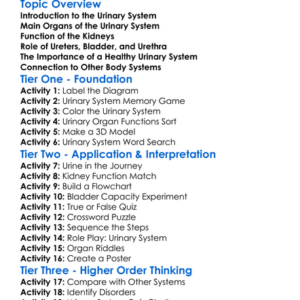 Urinary System Structure Worksheet Activity Booklet
