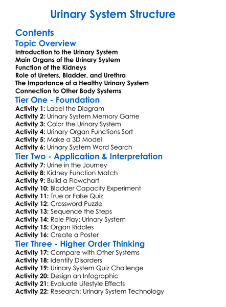 Urinary System Structure Worksheet Activity Booklet