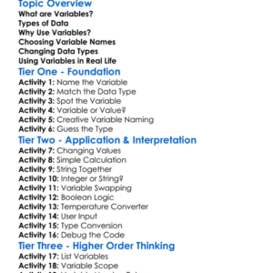 Variables And Data Types Worksheet Activity Booklet