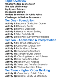 Welfare Economics Worksheet Activity Booklet