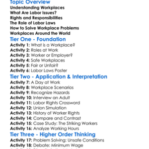 Workplace And Labor Issues Worksheet Activity Booklet